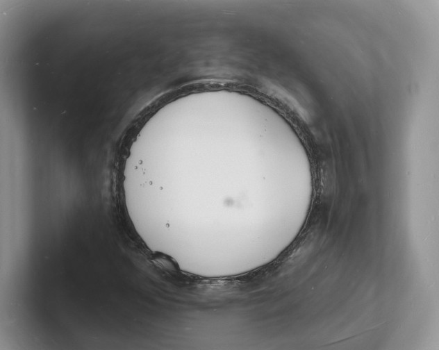 X0000101691352200807311403