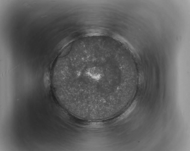 X0000101691353200807311403