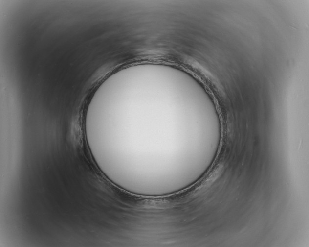 X0000101691354200807311403