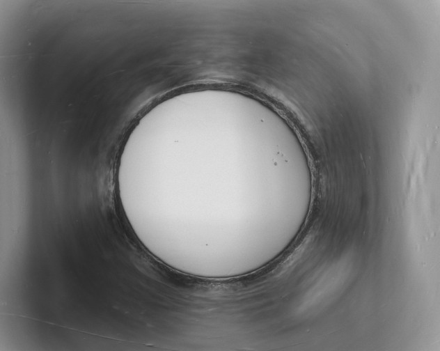 X0000101691355200807311403