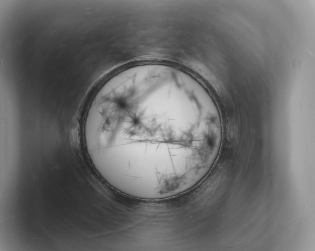 X0000101691356200807311403