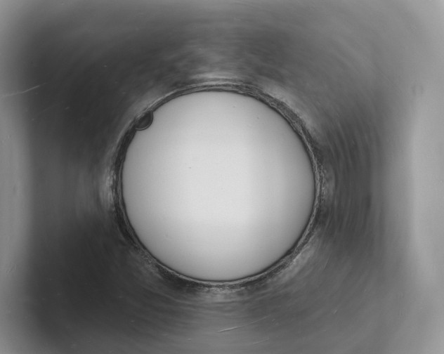 X0000101691357200807311403