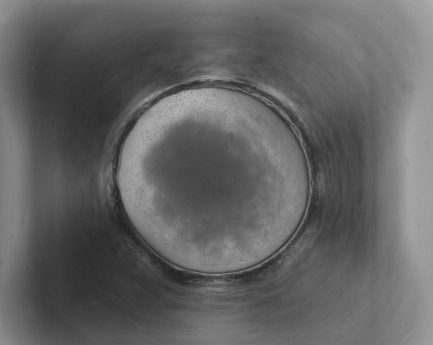 X0000101691359200807311403