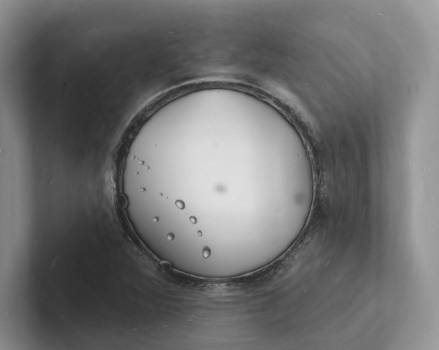 X0000101691360200807311403