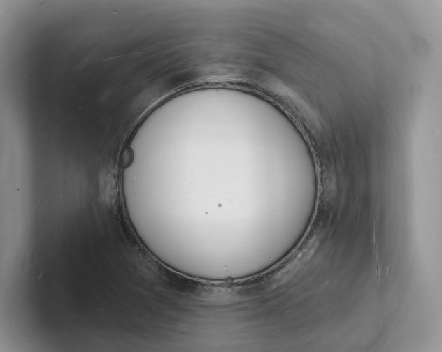 X0000101691361200807311403