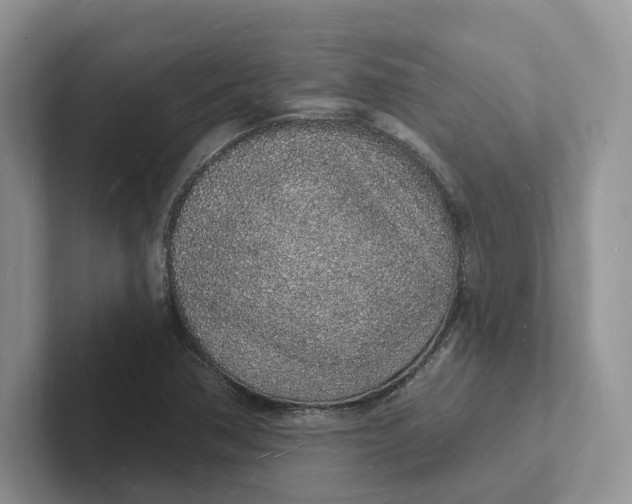 X0000101691362200807311403