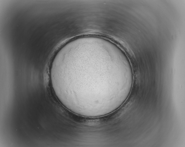 X0000101691363200807311403