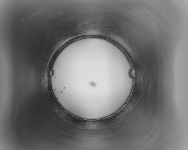 X0000101691364200807311403