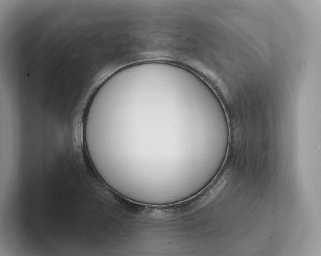 X0000101691365200807311403