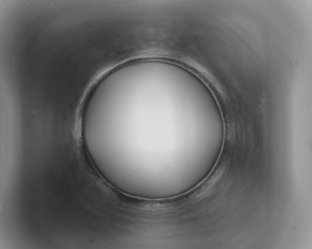 X0000101691366200807311403