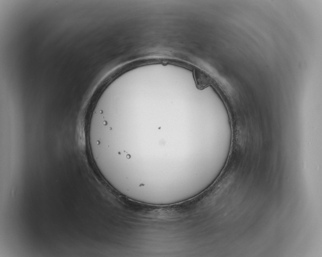 X0000101691368200807311403