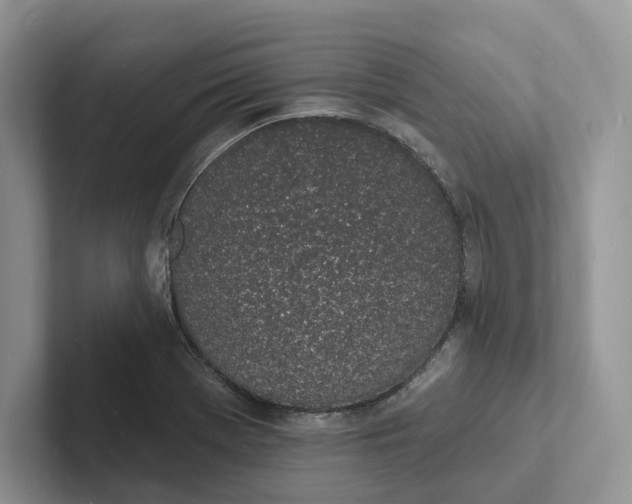 X0000101691369200807311403