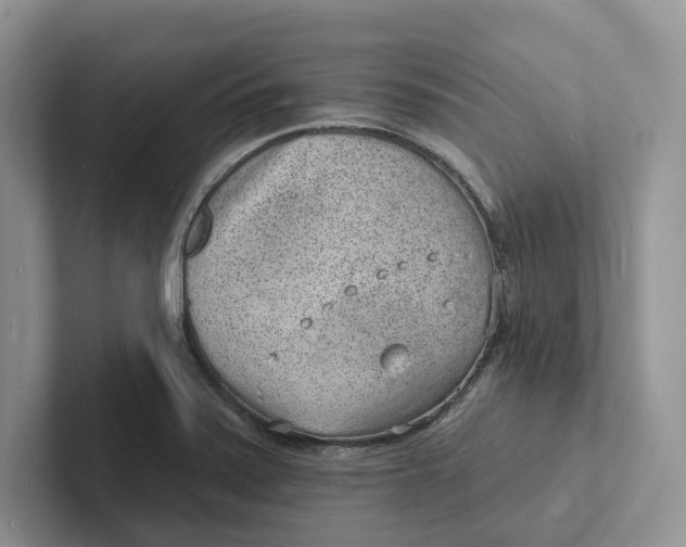 X0000101691371200807311403