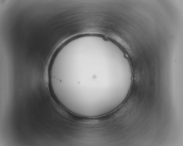 X0000101691372200807311403