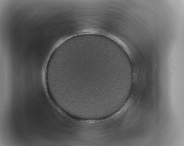 X0000101691373200807311403