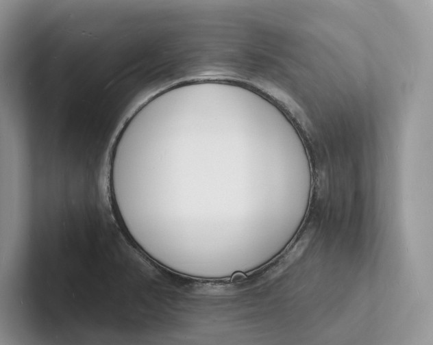 X0000101691374200807311403