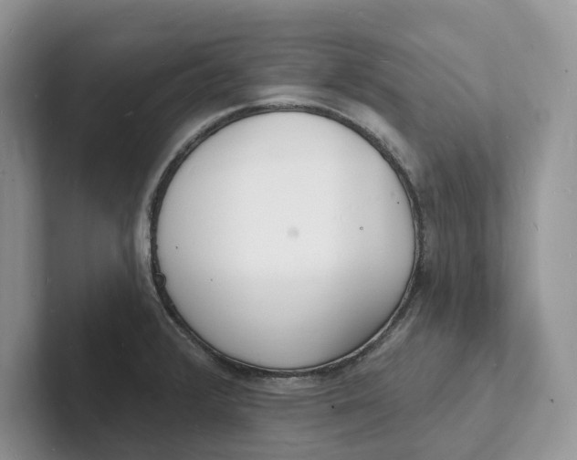 X0000101691376200807311403