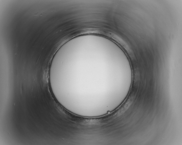 X0000101691377200807311403