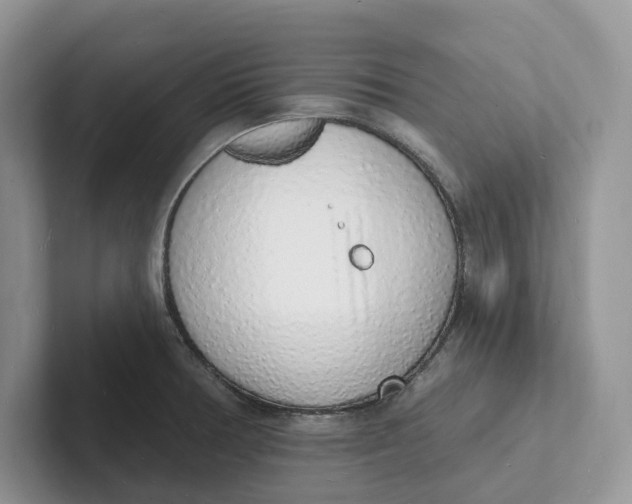 X0000101691378200807311403