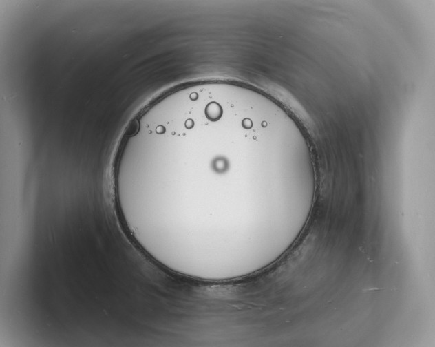 X0000101691380200807311403