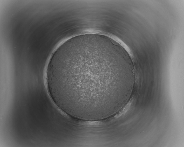 X0000101691381200807311403