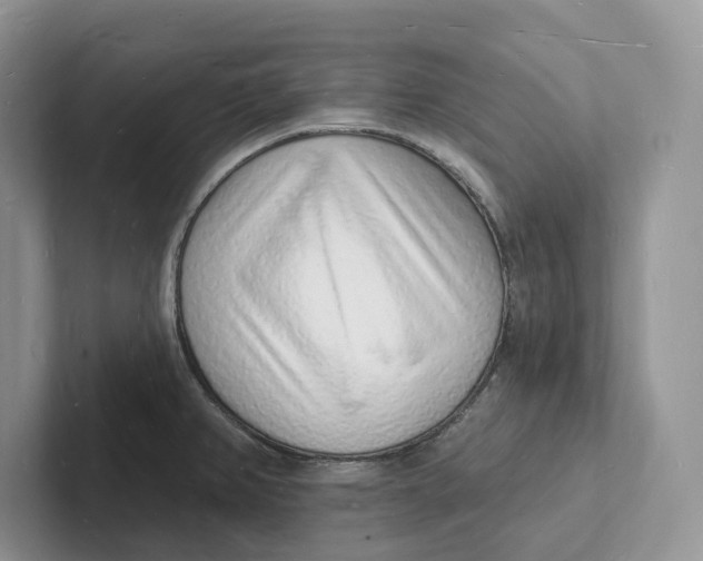 X0000101691382200807311403