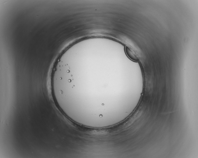 X0000101691384200807311403