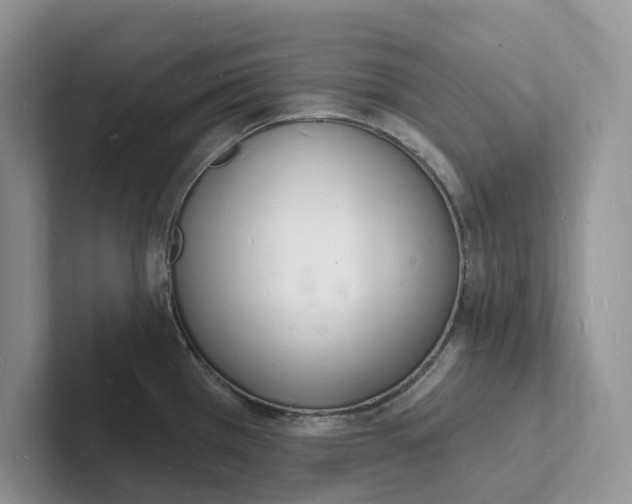 X0000101691385200807311403