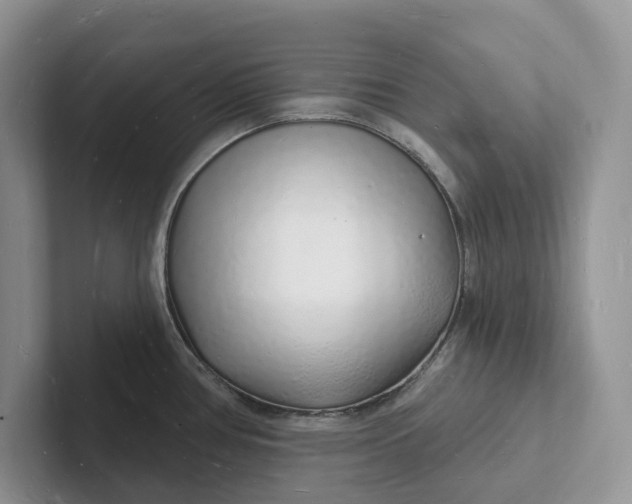 X0000101691386200807311403