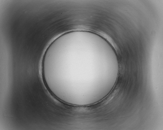 X0000101691387200807311403