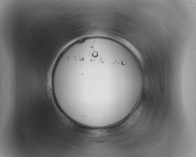 X0000101691388200807311403