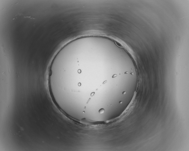 X0000101691390200807311403