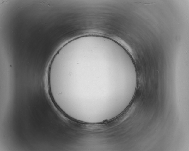 X0000101691391200807311403