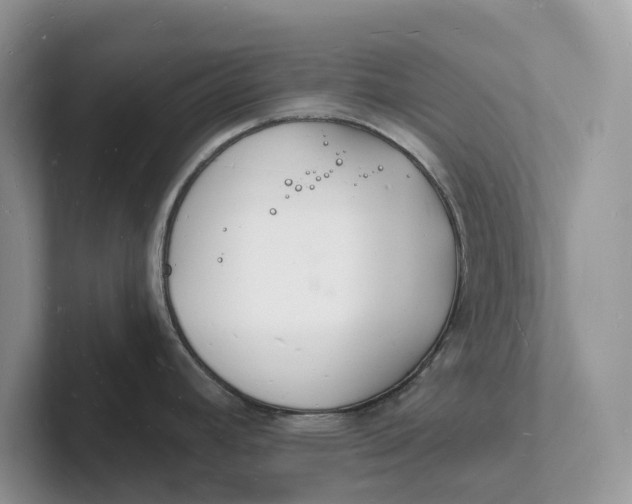 X0000101691392200807311403