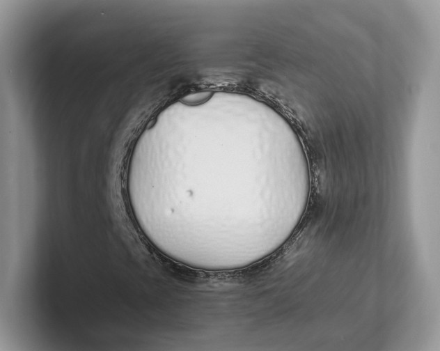 X0000101691393200807311402