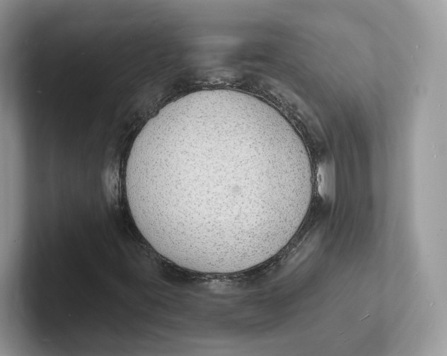 X0000101691395200807311402