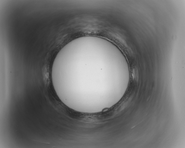 X0000101691396200807311402