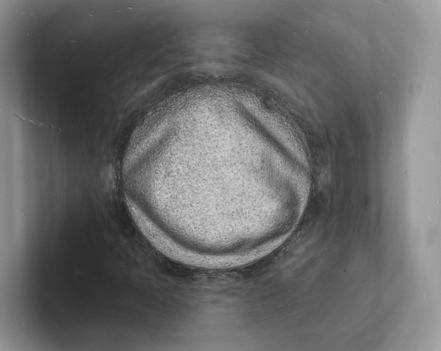 X0000101691397200807311402