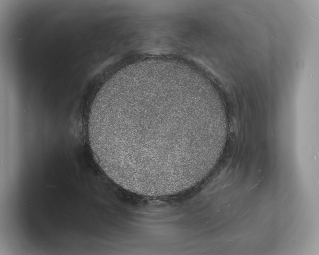 X0000101691398200807311402