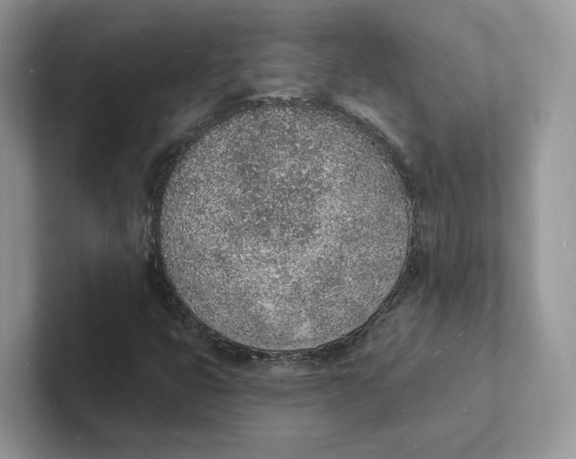 X0000101691399200807311402