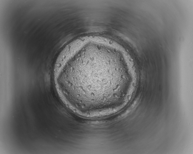 X0000101691401200807311402