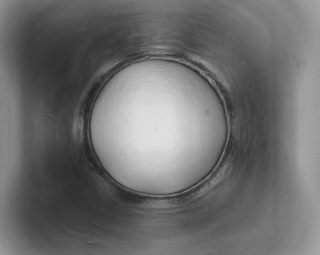 X0000101691402200807311402