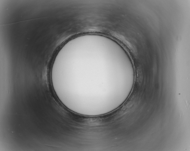 X0000101691404200807311402