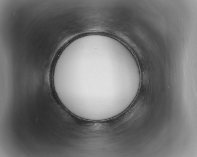 X0000101691412200807311403