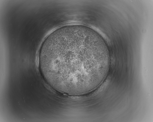 X0000101691413200807311403