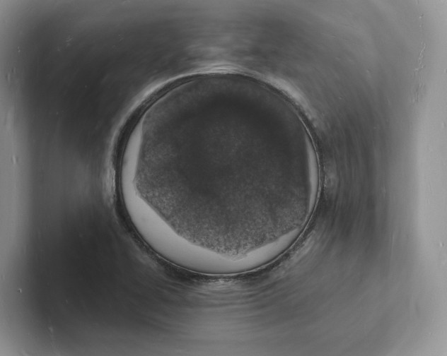 X0000101691414200807311403