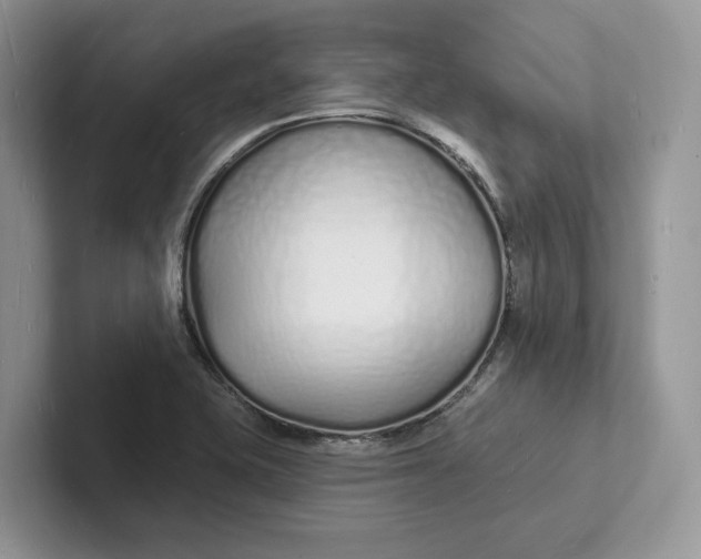 X0000101691415200807311403