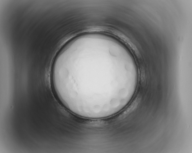 X0000101691417200807311403