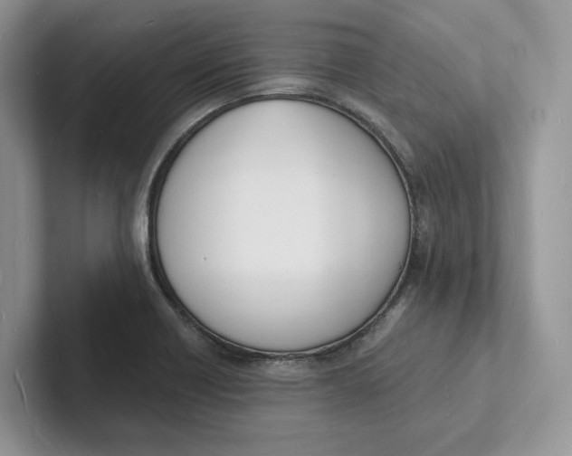 X0000101691418200807311403