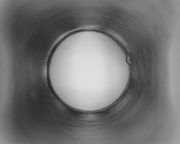 X0000101691420200807311403